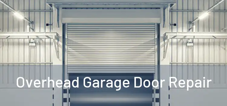  Overhead Garage Door Repair 